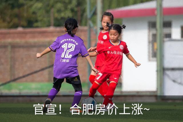 官宣！合肥房价上涨~