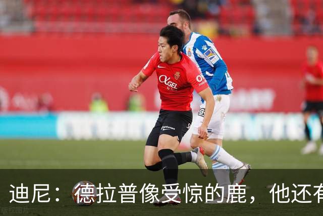 迪尼：德拉普像受惊的鹿，他还有很多工作要做